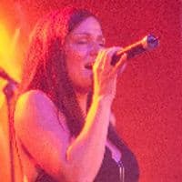 Diana Stern Band