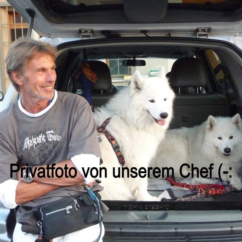 user-upload/business/work-media/yn8xgjmpb0brwc4pt9nuz8_powerteam-umzuege.jpeg